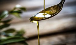 Zeytinyağıyla Gastronomi Turizminde Yeni Bir Dönem Başlıyor!
