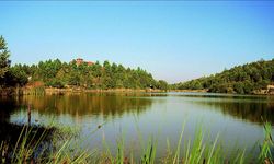 Düzce'nin Yeni Turizm Rotası: Korugöl Tabiat Parkı