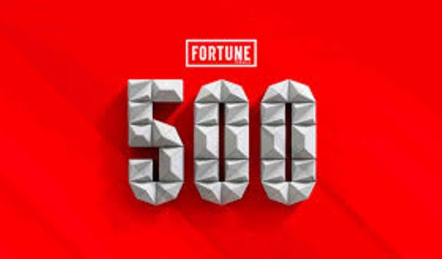 Fortune 500 Türkiye 2024'te Turizm Sektörü Temsili: Kimler Listeye Girdi?