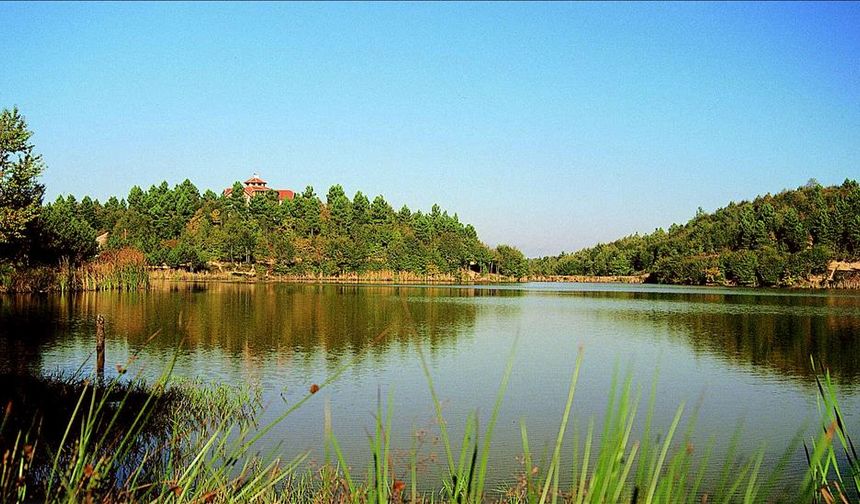 Düzce'nin Yeni Turizm Rotası: Korugöl Tabiat Parkı
